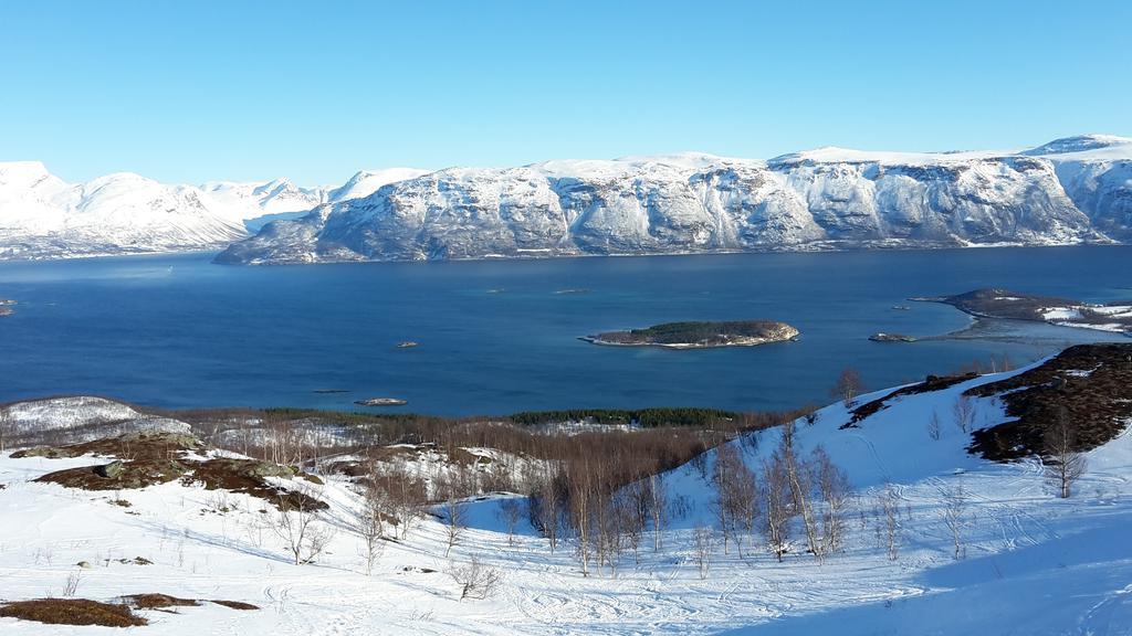 Lyngseidet Lyngen Apartments מראה חיצוני תמונה